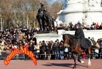 Buckingham Palace Change Of The Guard 