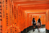 Kyoto Fushimi Irani Shrine Tori-i Tunnel