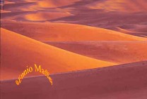 Morocco Erfoud Dunes