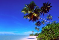 Seychelles Alphonse Island & Resort